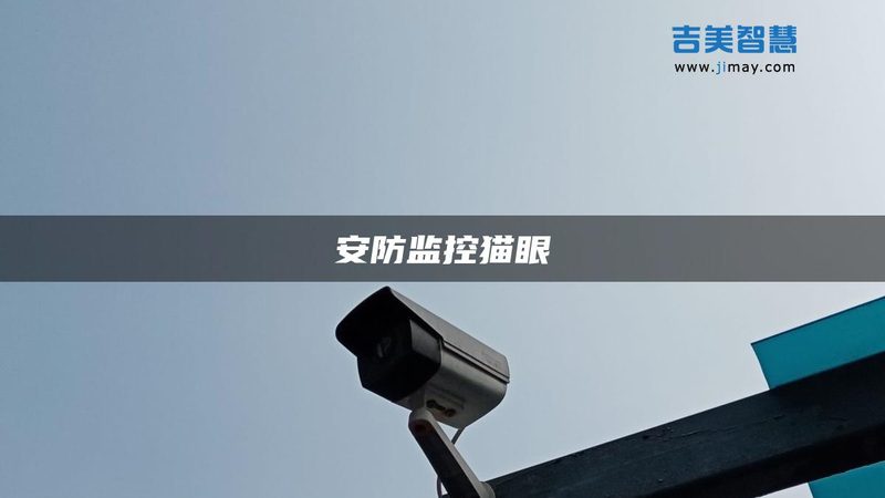 夜视监控：黑白与全彩的抉择**